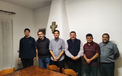 Visita canónica del Vicario General